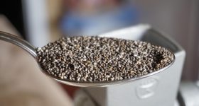 Chia Seeds: చియా విత్తనాలు రోజూ తింటే బరువు తగ్గడానికి సహాయపడతాయా?