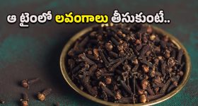 Clove Benefits: వంటింట్లో దాగున్న ఔషధ గని.. ఎంతటి జ్వరమైనా ఇట్టే పారిపోతుంది!