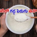 Curd In Winter: చలికాలంలో గడ్డ పెరుగు తినడం ఆరోగ్యానికి హానికరమా?.. వైద్య నిపుణుల అభిప్రాయం ఇదే!