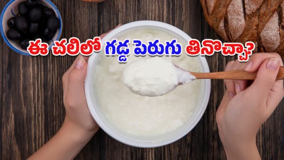 Curd In Winter: చలికాలంలో గడ్డ పెరుగు తినడం ఆరోగ్యానికి హానికరమా?.. వైద్య నిపుణుల అభిప్రాయం ఇదే!
