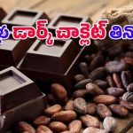 Dark Chocolate: ఆ సమయంలో డార్క్ చాక్లెట్ తింటే లాభమా, నష్టమా? పరిశోధనలు ఏం చెబుతున్నాయి?