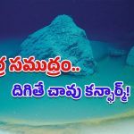 Death Pool: ఈ కొలనులోకి దిగితే చావడం ఖాయం.. ‘డెత్ పూల్’ గురించి ఈ భయంకరమైన నిజాలు తెలుసా?
