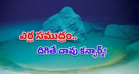 Death Pool: ఈ కొలనులోకి దిగితే చావడం ఖాయం.. ‘డెత్ పూల్’ గురించి ఈ భయంకరమైన నిజాలు తెలుసా?