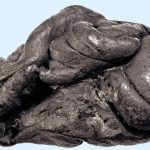 Denmark Archaeology: 6000 ఏళ్ల నాటి చూయింగ్ గమ్.. బయటపడ్డ ఆదిమానవ ‘లోలా’ రహస్యాలు!
