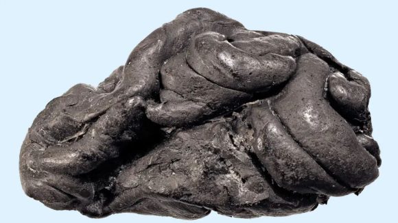 Denmark Archaeology: 6000 ఏళ్ల నాటి చూయింగ్ గమ్.. బయటపడ్డ ఆదిమానవ ‘లోలా’ రహస్యాలు!