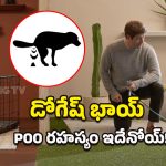 Dog Pooping Behavior: కుక్కలు మల విసర్జనకు ముందు గుండ్రంగా ఎందుకు తిరుగుతాయి?