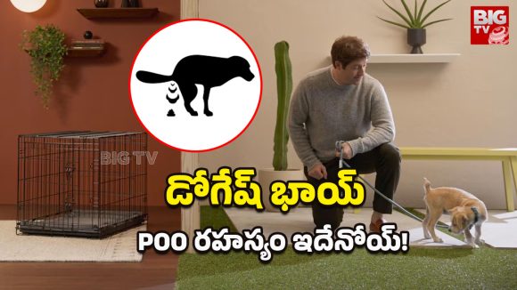 Dog Pooping Behavior: కుక్కలు మల విసర్జనకు ముందు గుండ్రంగా ఎందుకు తిరుగుతాయి?