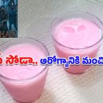 Doodh Soda: సిల్వర్ స్క్రీన్ నుంచి కిచెన్ వరకూ.. ధురంధర్‌తో హిట్ అయిన ‘దూద్ సోడా’ రెసిపీ ఇదే!