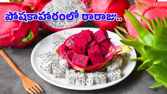 Dragon Fruit Benefits: మధుమేహం నుంచి గుండె ఆరోగ్యం వరకు.. సూపర్ ఫుడ్‌గా నిలుస్తున్న డ్రాగన్ ఫ్రూట్!
