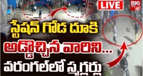 Rashi Khanna: క్రేజీ ప్లాంట్‌ లేడీని అంటూ క్రేజీ స్టిల్స్‌తో ఫిదా చేస్తున్న రాశీ