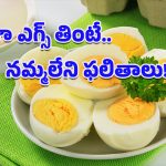 Egg Nutrition Secrets: కోడిగుడ్లు నిజంగా మన ఆరోగ్యానికి మేలు చేస్తాయా? ఈ నిజాలు తెలిస్తే అవాక్కే!