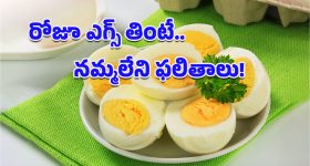 Cyber Fraud: ఆన్‌లైన్ బెట్టింగ్ పేరిట రూ. 75 లక్షలు టోకరా.. వాట్సాప్ ద్వారానే యాప్స్ ప్రచారం