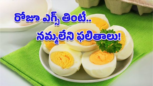 Egg Nutrition Secrets: కోడిగుడ్లు నిజంగా మన ఆరోగ్యానికి మేలు చేస్తాయా? ఈ నిజాలు తెలిస్తే అవాక్కే!