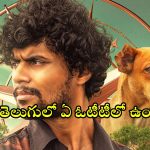 Eko movie OTT : మలయాళ మిస్టరీ థ్రిల్లర్ ‘ఎకో’ స్ట్రీమింగ్ షురూ… ఎప్పుడు, ఎక్కడ చూడవచ్చు అంటే ?