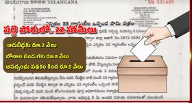 Sarpanch Manifesto: ఆడపిల్ల పుడితే రూ.2 వేలు, లైసెన్స్ ఉంటే ఉచిత హెల్మెట్.. సర్పంచ్ అభ్యర్థుల సంచలన మేనిఫెస్టోలు