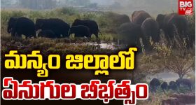 Elephant Attack: మన్యం జిల్లా రైతులను పరుగులు పెట్టించిన ఏనుగులు.. ఒక్కసారే పదుల సంఖ్యలో..