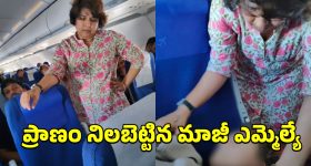 CM Revanth Reddy: రాజ్యాంగాన్నే రద్దు చేయాలని బీజేపీ ప్రయత్నం.. ఢిల్లీలో సీఎం రేవంత్ ఫైర్