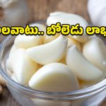 Garlic Benefits: రోజూ 2 వెల్లుల్లి రెబ్బలు తింటే ఏమవుతుంది? ఈ లాభాలు తెలిస్తే వద్దన్నా తినేస్తారు!