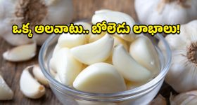 Comedy Drama OTT : అమ్మాయిల వాష్ రూమ్ లో అడ్డంగా బుక్కయ్యే హీరో... కితకితలు పెట్టే మలయాళం కామెడీ డ్రామా