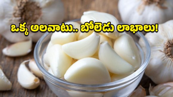 Garlic Benefits: రోజూ 2 వెల్లుల్లి రెబ్బలు తింటే ఏమవుతుంది? ఈ లాభాలు తెలిస్తే వద్దన్నా తినేస్తారు!