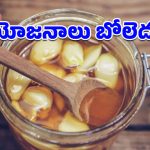 Garlic – Honey: అధిక బరువును నియంత్రించే వెల్లుల్లి-తేనె మిశ్రమం.. రోజూ తిన్నారంటే షాకింగ్ రిజల్ట్స్!