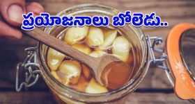 Garlic - Honey: అధిక బరువును నియంత్రించే వెల్లుల్లి-తేనె మిశ్రమం.. రోజూ తిన్నారంటే షాకింగ్ రిజల్ట్స్!