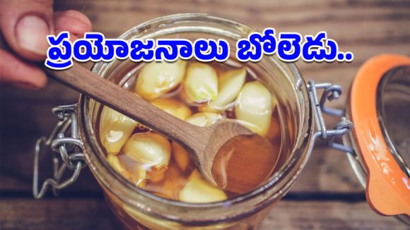 Garlic – Honey: అధిక బరువును నియంత్రించే వెల్లుల్లి-తేనె మిశ్రమం.. రోజూ తిన్నారంటే షాకింగ్ రిజల్ట్స్!