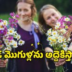 Gender Imbalance: అక్కడ పెళ్లికాని మగాళ్లకు ఫుల్ డిమాండ్.. గంటలు లెక్కన భర్తలను అద్దెకు తెచ్చుకుంటున్న స్త్రీలు!