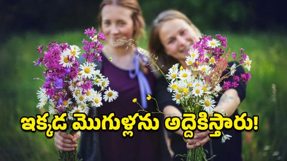 Gender Imbalance: అక్కడ పెళ్లికాని మగాళ్లకు ఫుల్ డిమాండ్.. గంటలు లెక్కన భర్తలను అద్దెకు తెచ్చుకుంటున్న స్త్రీలు!