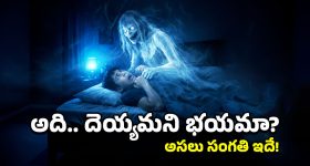 Sleep Paralysis:  ఛాతిపై దెయ్యం కూర్చొని ఉక్కిరి బిక్కిరి చేస్తోందా? అసలు కారణం ఇదే!
