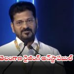CM Revanth Reddy: తెలంగాణ అభివృద్ధిలో దూసుకెళ్తోంది.. గ్లోబల్ సమ్మిట్‌లో సీఎం కీలక వ్యాఖ్యలు