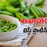 Green Peas Benefits: వింటర్‌లో పచ్చి బఠాణీలు తింటే ఇన్ని బెనిఫిట్సా!.. శాఖాహారుల బెస్ట్ ప్రొటీన్ అని ఎందుకంటారు?