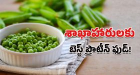 Green Peas Benefits: వింటర్‌లో పచ్చి బఠాణీలు తింటే ఇన్ని బెనిఫిట్సా!.. శాఖాహారుల బెస్ట్ ప్రొటీన్ అని ఎందుకంటారు?