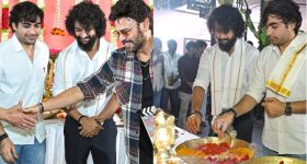 Pumpkin Seeds: ఈ గింజలను పారేస్తున్నారా? ప్రాణాలను కాపాడే పోషక నిధి ఇదే..