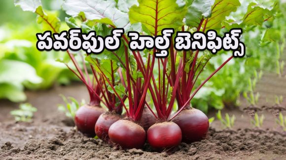 Health Benefits: బీట్‌రూట్ ఆకులతో అద్భుత ప్రయోజనాలు.. రక్తపోటు నుంచి స్కిన్ గ్లో వరకూ 5 టాప్ బెనిఫిట్స్!