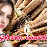 Health Benefits: తేగలను తేలిగ్గా తీసుకోకండి… క్యాన్సర్‌ను అడ్డుకునే ప్రకృతి రక్షణ కవచం