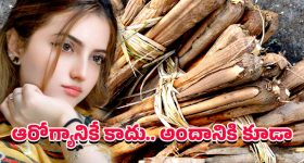 Health Benefits: తేగలను తేలిగ్గా తీసుకోకండి… క్యాన్సర్‌ను అడ్డుకునే ప్రకృతి రక్షణ కవచం