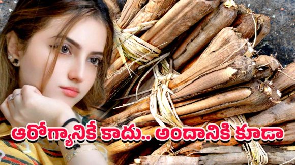 Health Benefits: తేగలను తేలిగ్గా తీసుకోకండి… క్యాన్సర్‌ను అడ్డుకునే ప్రకృతి రక్షణ కవచం