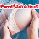 Health Tips: వారాల తరబడి బ్రాలను ఉతక్కుండా వాడితే ఏమవుతుంది? నిపుణుల హెచ్చరికలు ఇవే!