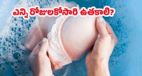 Bigg Boss 9 Winner: టైటిల్‌ విన్నర్‌ తనూజ?.. ప్రొమోలో హింట్‌ ఇచ్చేసిన నాగార్జున