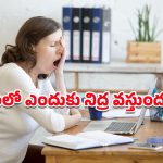 Health Tips: లంచ్‌ లేదా డిన్నర్‌ తర్వాత నిద్రొస్తుందా? నిపుణులు చెబుతున్న అసలు కారణాలు ఇవే!