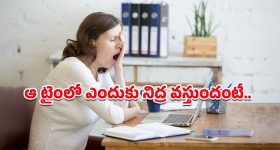Health Tips: లంచ్‌ లేదా డిన్నర్‌ తర్వాత నిద్రొస్తుందా? నిపుణులు చెబుతున్న అసలు కారణాలు ఇవే!