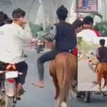 Hyderabad News: నడి రోడ్డుపై గుర్రపు స్వారి.. రాజేంద్ర నగర్‌లో చప్రీగాళ్ల పిల్ల చేష్టలు, వీడియో వైరల్
