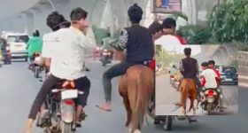 Hyderabad News: నడి రోడ్డుపై గుర్రపు స్వారి.. రాజేంద్ర నగర్‌లో చప్రీగాళ్ల పిల్ల చేష్టలు, వీడియో వైరల్