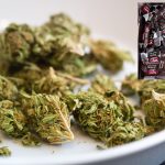 Hydroponic Ganja: ఎయిర్ పోర్ట్‌లో డ్రగ్స్ కలకలం.. రూ.4 కోట్ల హైడ్రోపోనిక్ గంజాయి స్వాధీనం