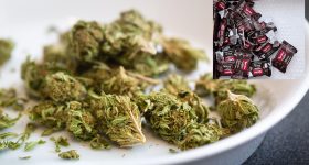 Hydroponic Ganja: ఎయిర్ పోర్ట్‌లో డ్రగ్స్ కలకలం.. రూ.4 కోట్ల హైడ్రోపోనిక్ గంజాయి స్వాధీనం
