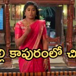 Illu Illalu Pillalu Today Episode: తాగి రచ్చ చేసిన సాగర్.. ప్రేమకు ముద్దుపెట్టేసిన ధీరజ్.. వణికిపోయిన శ్రీవల్లి..