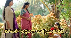 Illu Illalu Pillalu Today Episode: శ్రీవల్లికి దిమ్మతిరిగే షాక్.. నిజం చెప్పిన నర్మద.. అడ్డంగా ఇరుక్కున్న తిరుపతి..