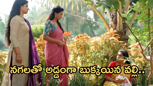 Illu Illalu Pillalu Today Episode: శ్రీవల్లికి దిమ్మతిరిగే షాక్.. నిజం చెప్పిన నర్మద.. అడ్డంగా ఇరుక్కున్న తిరుపతి..