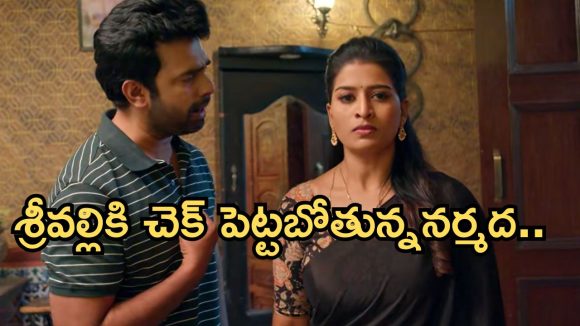 Illu Illalu Pillalu Today Episode: దారుణంగా మోసపోయిన సాగర్.. నిజం తెలుసుకున్న నర్మద..శ్రీవల్లికి టెన్షన్..